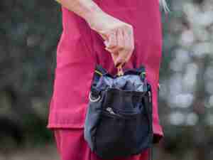 Bolsa para entrenamiento de mascotas