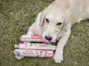 Dieta BARF - NATUBARRA POLLO 500GR