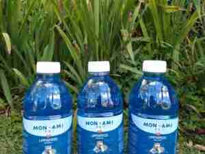 Limpiapisos Mascotas Mon Ami Pet  2 Litros