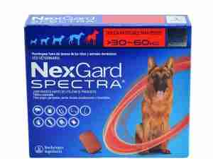 Nexgard Spectra para perros de 30 a 60 Kg